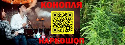 стафф Донской