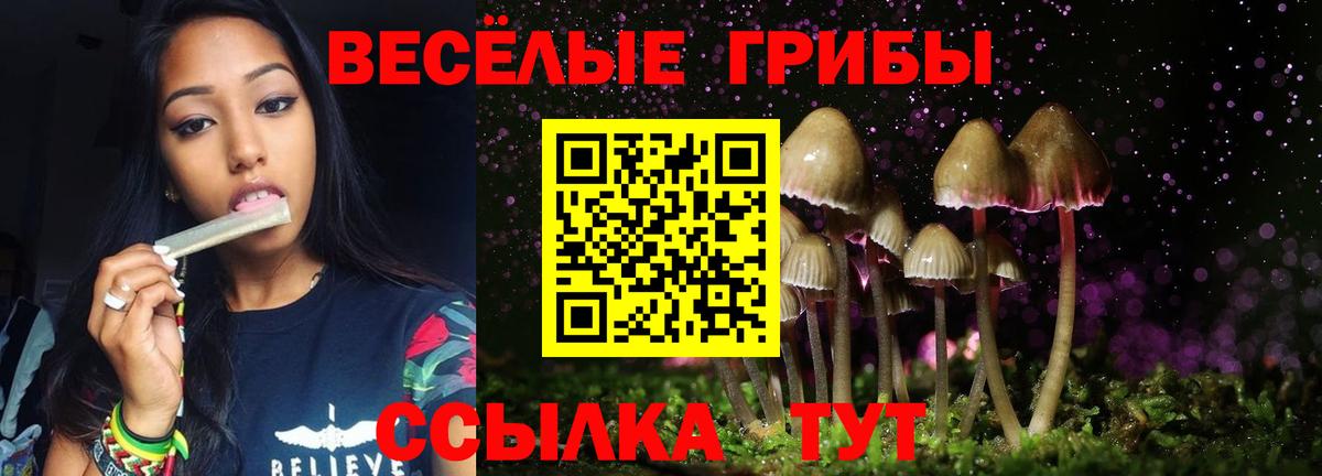 Лысьва  Псилоцибиновые грибы Cubensis  Вход с VPN 