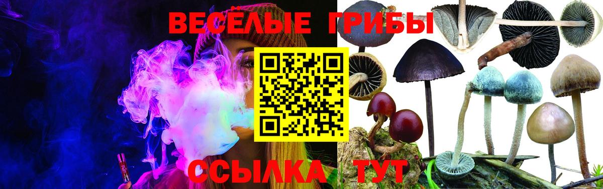 Псилоцибиновые грибы MAGIC MUSHROOMS Лысьва